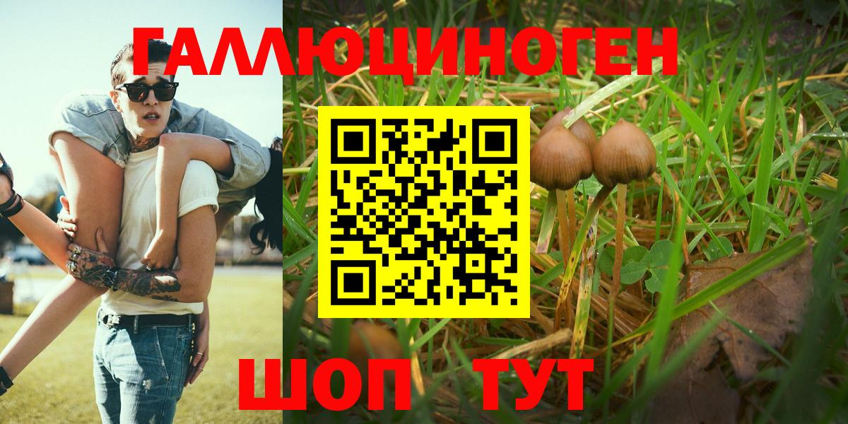 Псилоцибиновые грибы Magic Shrooms Барнаул